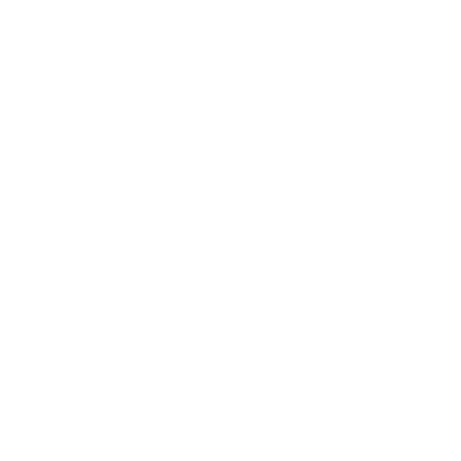 Teppanyaki