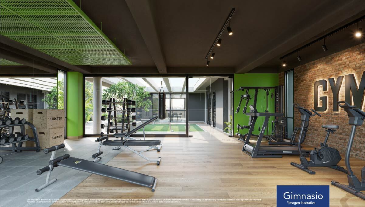 Gimnasio